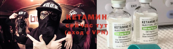 шишки Аркадак