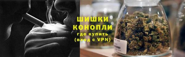 шишки Аркадак