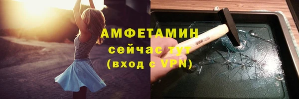 шишки Аркадак