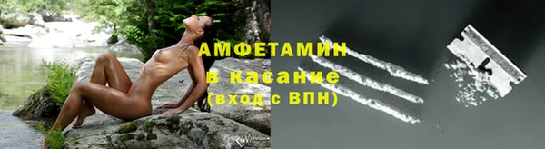 шишки Аркадак